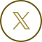 公式X